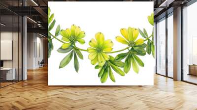 Vibrant Euphorbia Wreath with Bright Bracts in Watercolor Style - Botanical Illustration of Unique Structure and Colors Wall mural