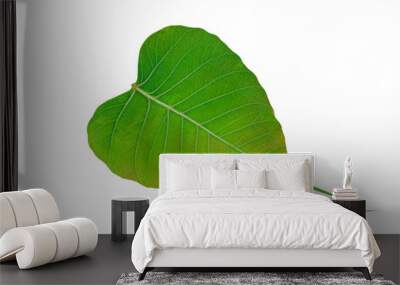 Set of green leaf isolated on white background with clipping path, Decorative fresh leaf spring foliage, It can be used for fresh template design for posters, flyers, brochures or vouchers. Wall mural