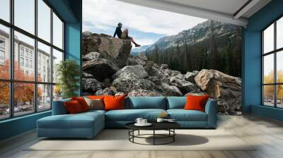 rock Wall mural