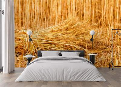 sheaves of ripe wheat Wall mural