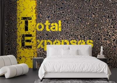 Accounting Business Acronym TE Total Expenses Wall mural