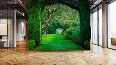 Green plant arches in english countryside garden Wall mural