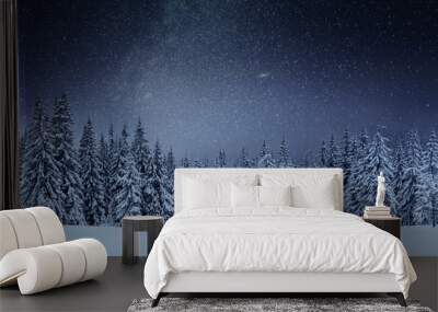 Dairy Star Trek in the winter woods. Dramatic and picturesque scene. In anticipation of the holiday. Carpathian Ukraine Wall mural