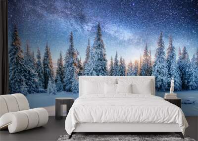 Dairy Star Trek in the winter woods Wall mural