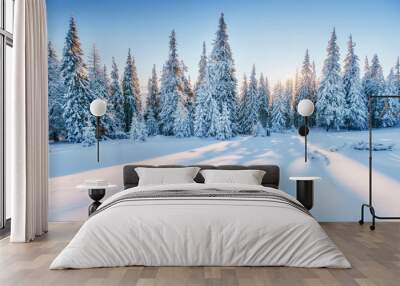 Fantastic winter landscape. Magic sunset in the mountains a fros Wall mural