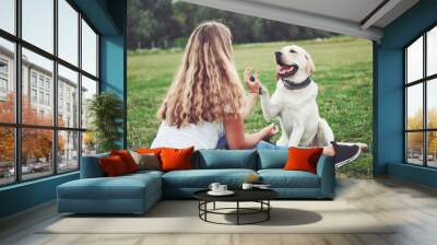 Frame with a beautiful girl with a beautiful dog in a park on green grass. Wall mural