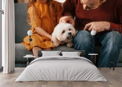 Front view. Man is taking care of his maltese dog. Girl is sitting on the sofa Wall mural