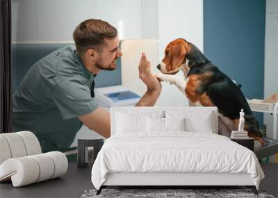 Giving high five with paw. Dog in veterinarian clinic with male doctor Wall mural