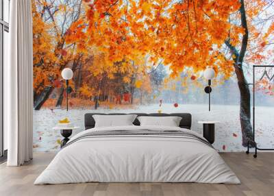 Light breaks through the autumn leaves of trees Wall mural