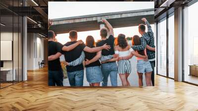 View from behind. Group of young cheerful friends having fun together. Party outdoors Wall mural