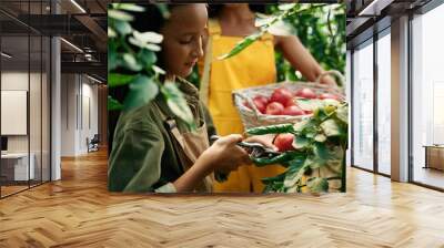 Woman and girl are in the garden with tomatoes together Wall mural