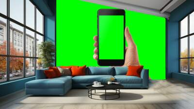 Isolated smart phone and hand in green, chroma key. Video app presentation mockup. Wall mural