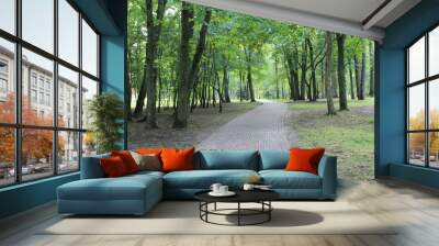 summer. fun colors of summer. beautiful summer alley Wall mural