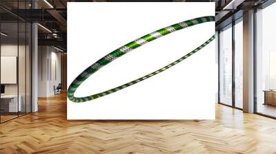 The hula Hoop silver with green closeup Isolated on white background Wall mural