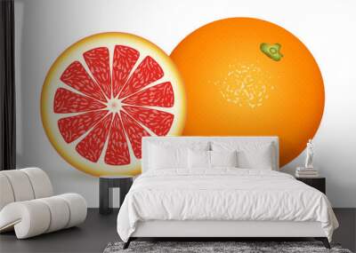 Fresh grapefruit in realistic style. Vector illustration isolated on white background. Wall mural