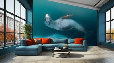 Leopard seal underwater in Antarctica Wall mural