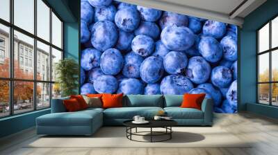 Many blueberry berries on a flat surface, top view, close-up. Background of berries, blueberries macro Wall mural