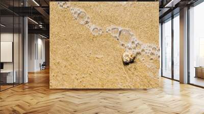 Summer texture - transparent water, sandy beach and a small shell, top view, copy space Wall mural