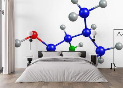 the 3d-rendered colorified molecule of valine Wall mural