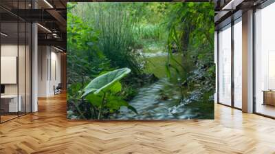 river, landscape, green Wall mural