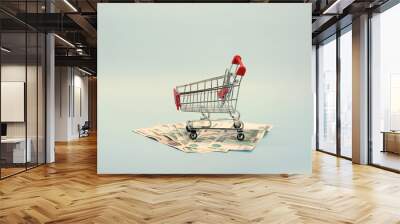 Shopping cart with Russian money. Paper bills and a souvenir shopping basket. Wall mural