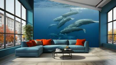 Sperm whale underwater Wall mural