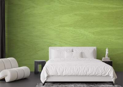 The texture of the wood. oak veneer. green color Wall mural