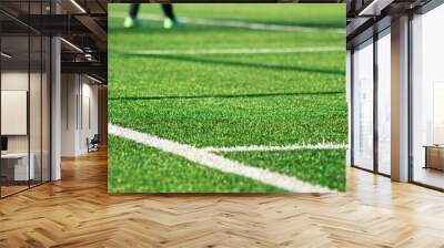 Artificial green grass with white stripe of soccer field Wall mural