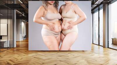 Tummy tuck, two fat women with flabby bellies on gray background, plastic surgery and body positive concept Wall mural