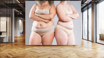 Tummy tuck, two fat women with flabby bellies on gray background, plastic surgery and body positive concept Wall mural