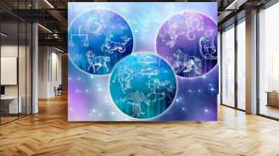 zodiac signs in cardinal, fixed, mutable groups over starry background like astrology concept Wall mural