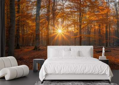 Golden Sunlight Through Autumn Forest Trees Wall mural