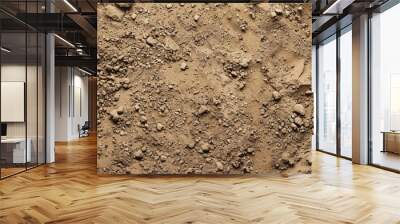 Panoramic close-up, high detail scan of light brown dirt material, Generative AI  Wall mural