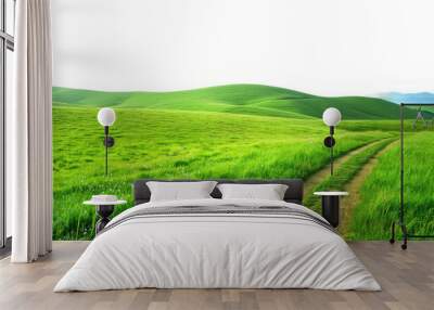 isolated green grass outdoor field landscape with roadway Wall mural