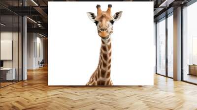 Funny giraffe face isolated on white background. High quality photo Wall mural