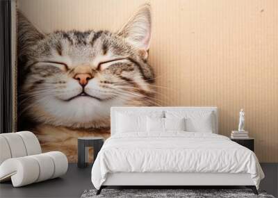 A cat with its eyes closed and head resting on a cardboard box, AI Wall mural