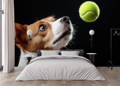 A dog looking up at a tennis ball in the air, AI Wall mural