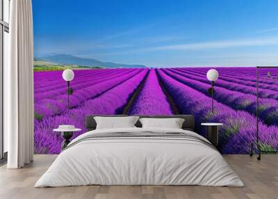 A field of lavender plants with a blue sky in the background, AI Wall mural