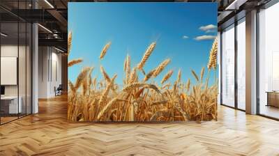 A field of wheat with a blue sky in the background. Generative AI image. Wall mural