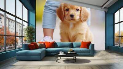 A small brown puppy sitting on the ground next to a person, AI Wall mural