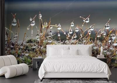 grass and flowers Wall mural