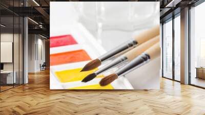 Artist paint brushes on watercolor paints Wall mural