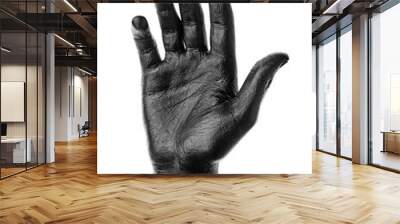 Black hand on white background, isolated, paint. ..Male hand isolated on black background. Hand showing symbols and gestures. Wall mural