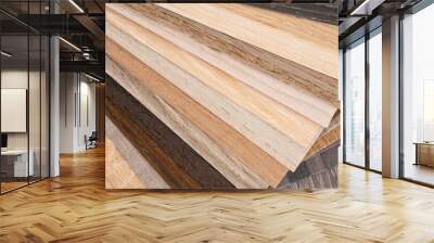 Palette of wood decor samples with different colours and textures. Sample of wood chipboard. Wooden laminate veneer material for interior architecture and construction or furniture finishing  Wall mural