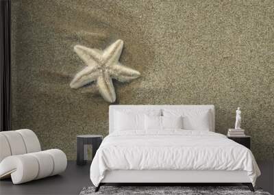 small starfish lying on the sand seaside beach Wall mural