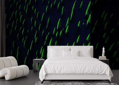 Background of bright green beautiful trees on a black background. Generative AI Wall mural