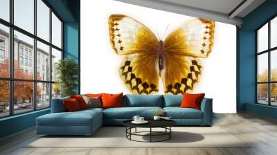 Emperor butterfly - Wei Na Si. Beautiful butterfly on a white background Wall mural