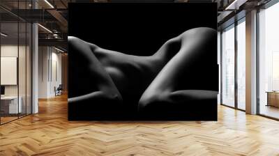 Sexy body nude woman. Naked sensual beautiful girl. Artistic black and white photo. Wall mural