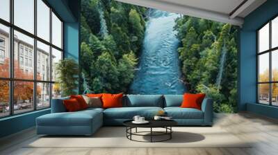 North American forest, bears fishing, flowing river, bird's-eye view, dense trees, wide-angle shot, midday sun Wall mural