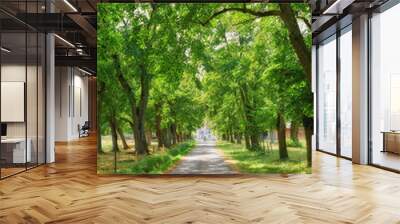 Street through peaceful trees growing in the green countryside near a straight road on a sunny day in rural France. Quiet nature landscape of vibrant plants on an empty path near Lyon with copy space Wall mural